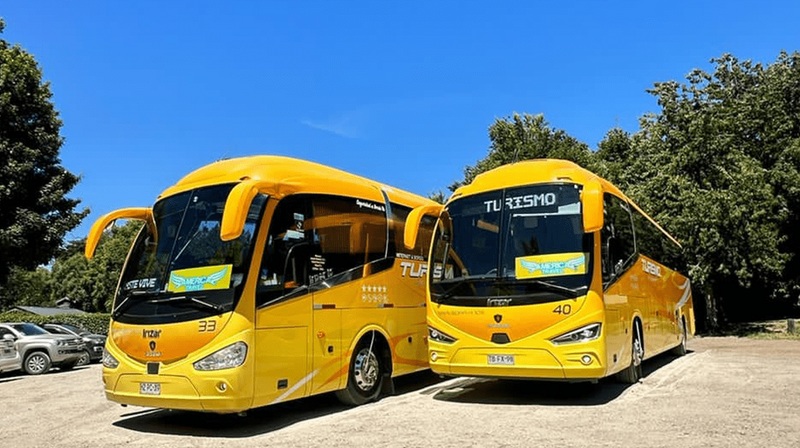 Bus de 1 piso