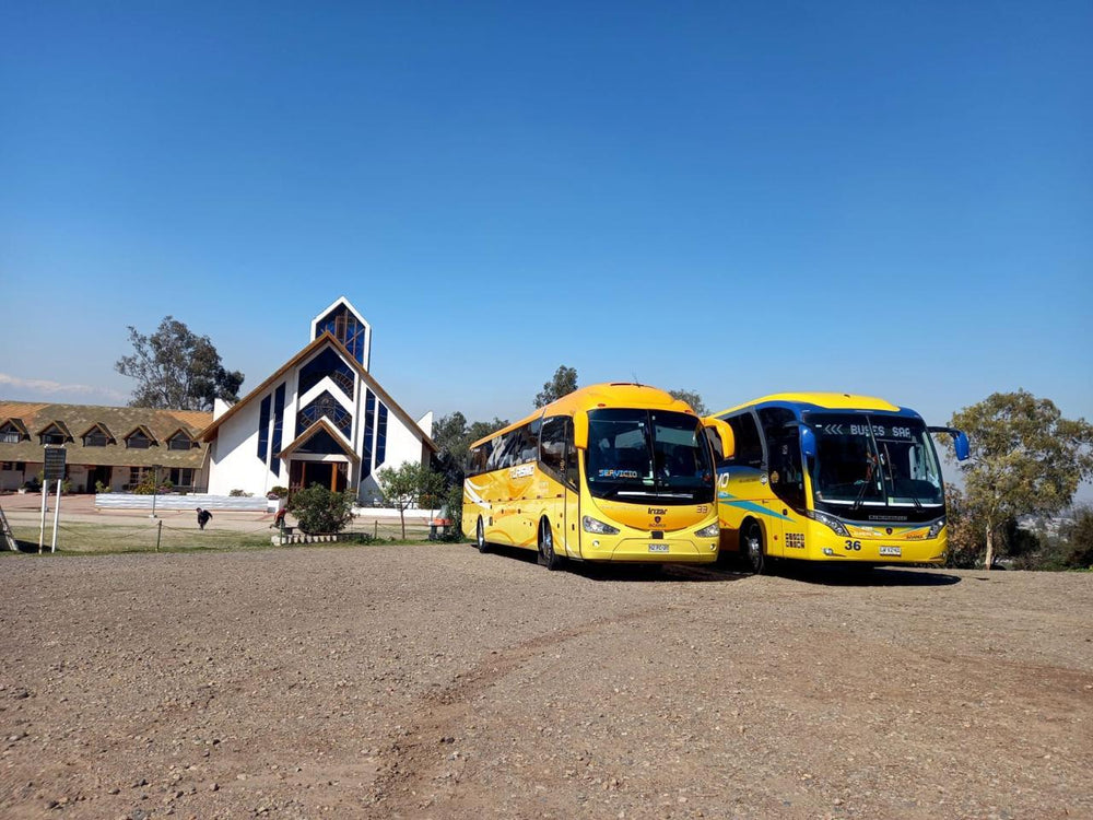 Bus de 1 piso 1