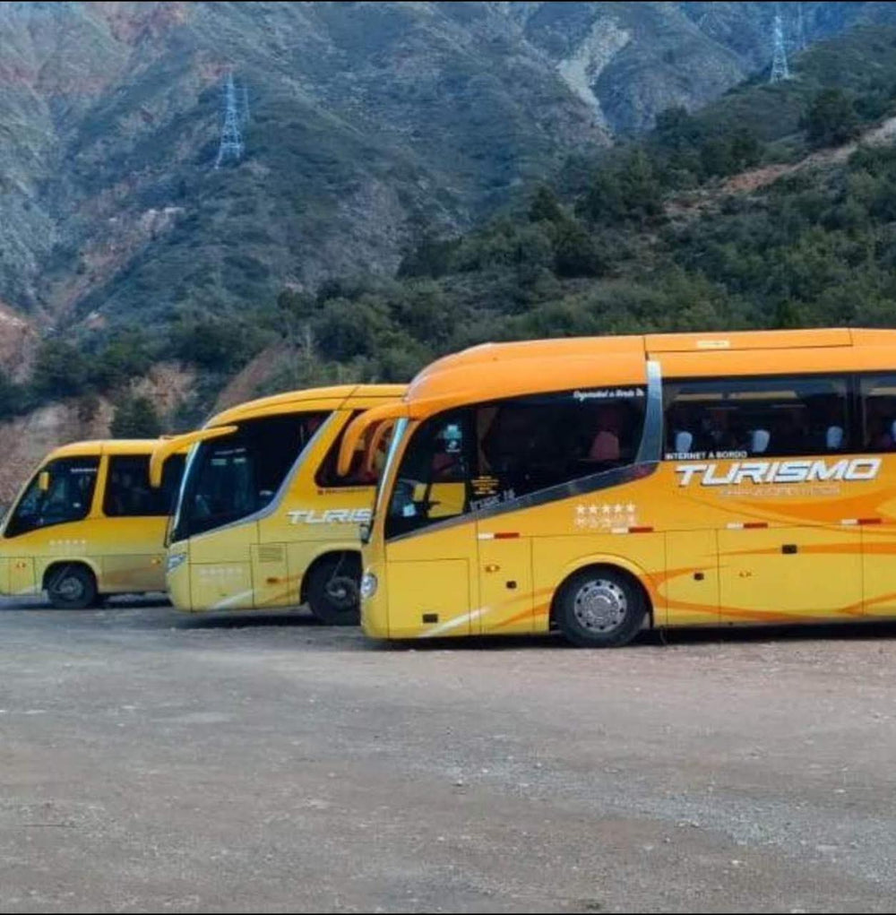 Bus de 1 piso 3